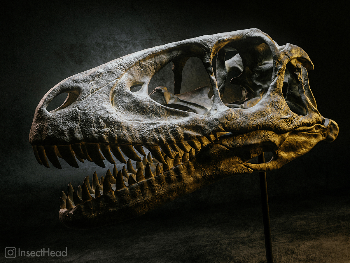 Jurassic Park Raptor